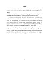 Globalizacijos įtaka socialinei apsaugai 2 puslapis