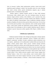 Globalizacijos įtaka socialinei apsaugai 6 puslapis