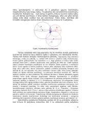 GPS technologija 7 puslapis