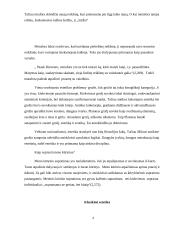 Grožio ir estetikos samprata 3 puslapis