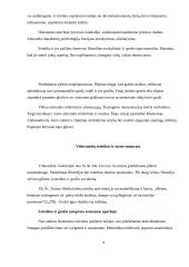 Grožio ir estetikos samprata 6 puslapis