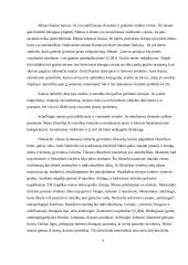 Grožio ir estetikos samprata 9 puslapis