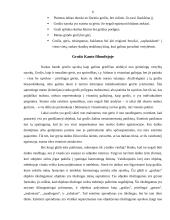 Grožio samprata 6 puslapis