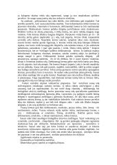 Grožio suvokimas 5 puslapis