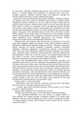 Grožio suvokimas 6 puslapis