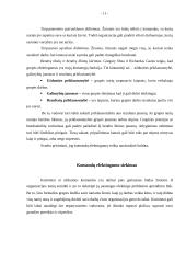 Grupė – komanda organizacijoje, jos funkcijos, ypatybės, vaidmenys, vystymasis 11 puslapis