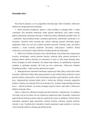 Grupė – komanda organizacijoje, jos funkcijos, ypatybės, vaidmenys, vystymasis 4 puslapis