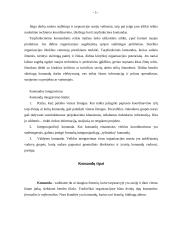 Grupė – komanda organizacijoje, jos funkcijos, ypatybės, vaidmenys, vystymasis 5 puslapis
