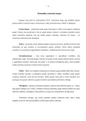 Grupė – komanda organizacijoje, jos funkcijos, ypatybės, vaidmenys, vystymasis 9 puslapis