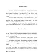 Grupė – komanda organizacijoje, jos funkcijos, ypatybės, vaidmenys, vystymasis 10 puslapis