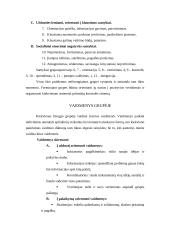 Grupė ir komanda 12 puslapis