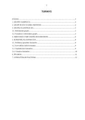 Grupės ir komandos 2 puslapis