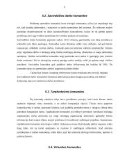 Grupės ir komandos 9 puslapis