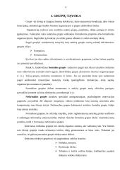 Grupės sąvoka, tikslai ir klasifikacija 4 puslapis