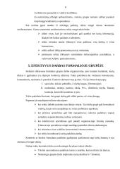 Grupės sąvoka, tikslai ir klasifikacija 8 puslapis