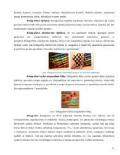 Holografinė dokumentų apsauga 11 puslapis