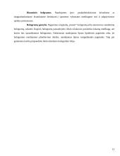 Holografinė dokumentų apsauga 12 puslapis