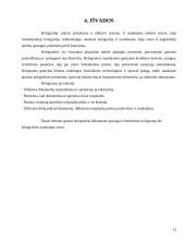 Holografinė dokumentų apsauga 13 puslapis