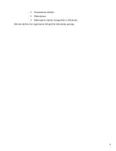 Holografinė dokumentų apsauga 4 puslapis