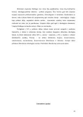 Ideologijų raida XX amžiuje 13 puslapis
