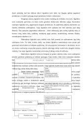 Ilgalaikio materialaus turto apibūdinimas, reikšmė, klasifikavimas 6 puslapis