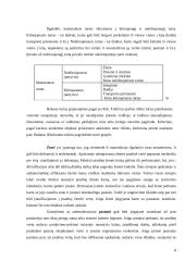 Ilgalaikio materialaus turto apibūdinimas, reikšmė, klasifikavimas 8 puslapis