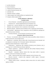 Ilgio matavimo komporatoriaus modeliavimas 13 puslapis