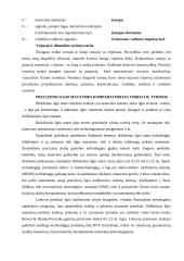 Ilgio matavimo komporatoriaus modeliavimas 15 puslapis