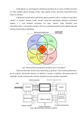 Ilgio matavimo komporatoriaus modeliavimas 7 puslapis