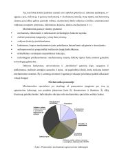 Ilgio matavimo komporatoriaus modeliavimas 8 puslapis