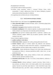AB "Ekranas" analizė 11 puslapis