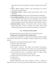 AB "Ekranas" analizė 12 puslapis
