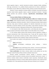 AB "Ekranas" analizė 17 puslapis