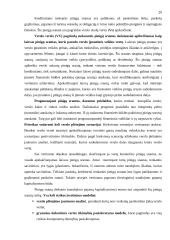 AB "Ekranas" analizė 20 puslapis