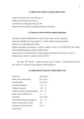AB "Ekranas" analizė 6 puslapis