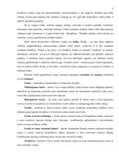 AB "Ekranas" analizė 9 puslapis