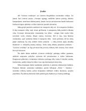 Įmonės analizė: aviakompanija  AB "flyLAL" 2 puslapis
