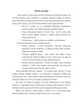 Įmonės analizė: aviakompanija  AB "flyLAL" 3 puslapis