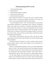 Įmonės analizė: aviakompanija  AB "flyLAL" 8 puslapis