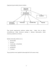 Imonės analizė: gėlių salonas 2 puslapis