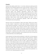 Imonės analizė: gėlių salonas 11 puslapis