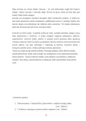 Imonės analizė: gėlių salonas 12 puslapis