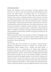 Imonės analizė: gėlių salonas 7 puslapis