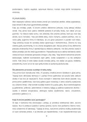 Imonės analizė: gėlių salonas 8 puslapis