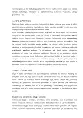 Imonės analizė: gėlių salonas 9 puslapis