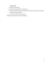 Įmonės analizė: konditerija UAB "Vilniaus pergalė" 11 puslapis