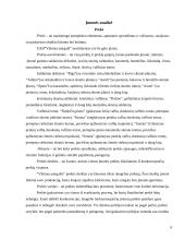 Įmonės analizė: konditerija UAB "Vilniaus pergalė" 6 puslapis