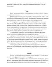 Įmonės analizė: konditerija UAB "Vilniaus pergalė" 7 puslapis