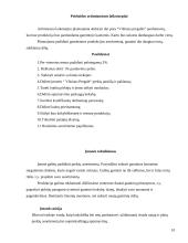 Įmonės analizė: konditerija UAB "Vilniaus pergalė" 10 puslapis