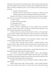Įmonės analizė: krovinių pervežimas UAB "Bitinėlis" 16 puslapis
